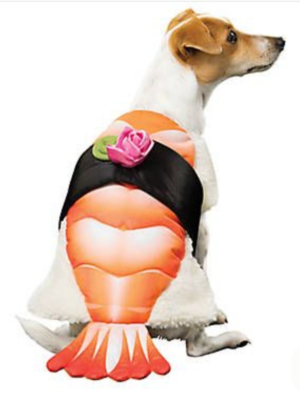 PetSmart Thrills & Chills Sushi Pet Costume Medium
